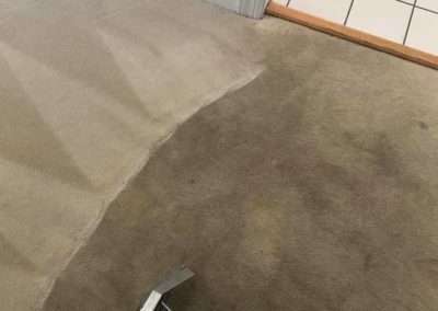 Steam Carpet Cleaning 5