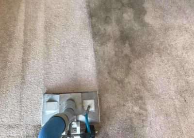 Upholstery Cleaning 11