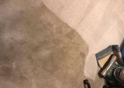 Tile and Grout Cleaning 12