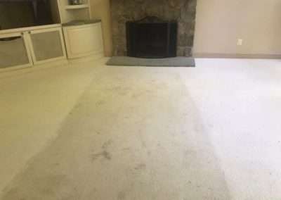 Steam Carpet Cleaning 14